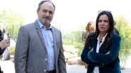 sinya-krav-254898-episode-11-season-9.jpg