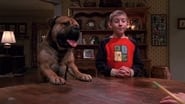 zlovestha-semejna-istoriya-300888-episode-2-season-2.jpg