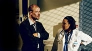 po-amerikanski-309788-episode-6-season-6.jpg